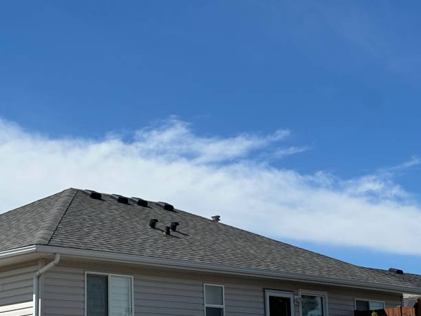 Best Emergency Roof Repair Services  in Hawaiian Ocean View, HI